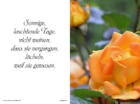 eine Anzeige