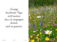 eine Anzeige
