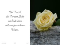 eine Anzeige