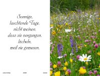 eine Anzeige