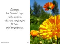 eine Anzeige