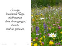eine Anzeige